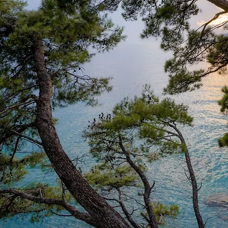 Gasthuis Astra Brela